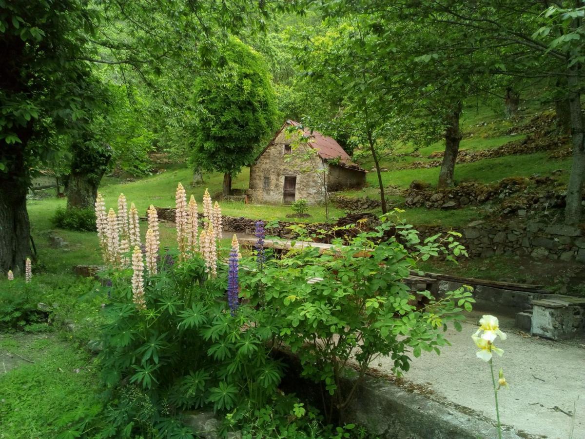 Casa Vacanze Le Muse Sillico Pieve Fosciana Luaran gambar