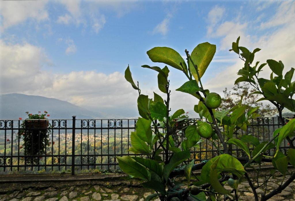 Casa Vacanze Le Muse Sillico Pieve Fosciana Luaran gambar